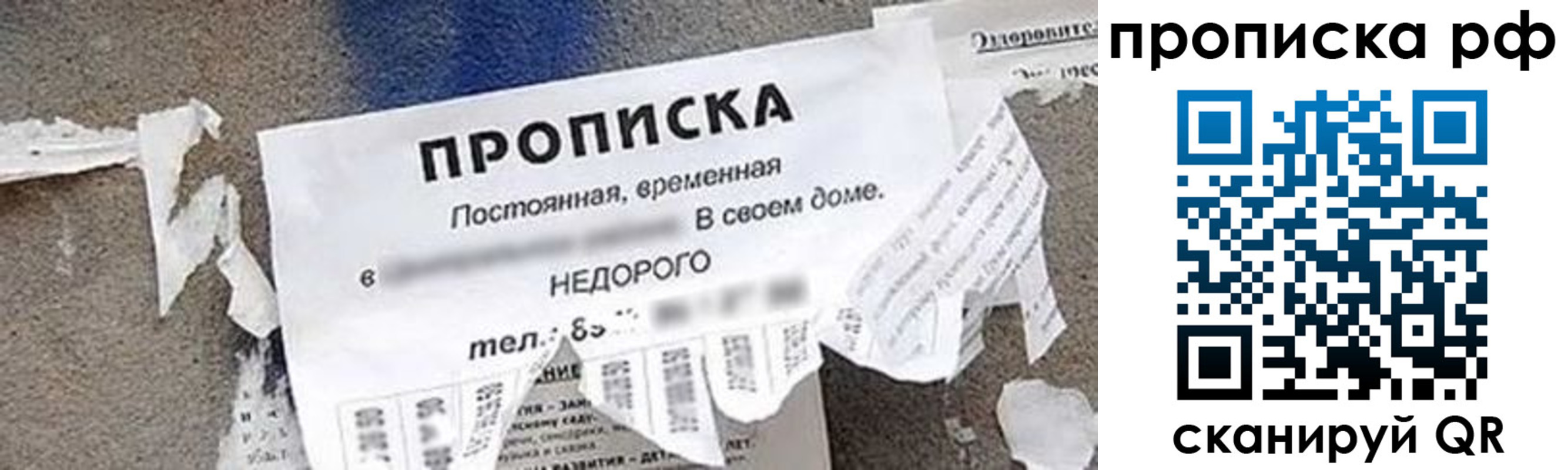 где прописаться в Великих Луках